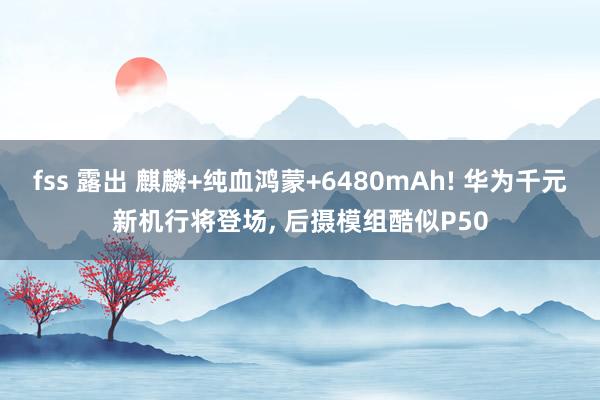 fss 露出 麒麟+纯血鸿蒙+6480mAh! 华为千元新机行将登场， 后摄模组酷似P50