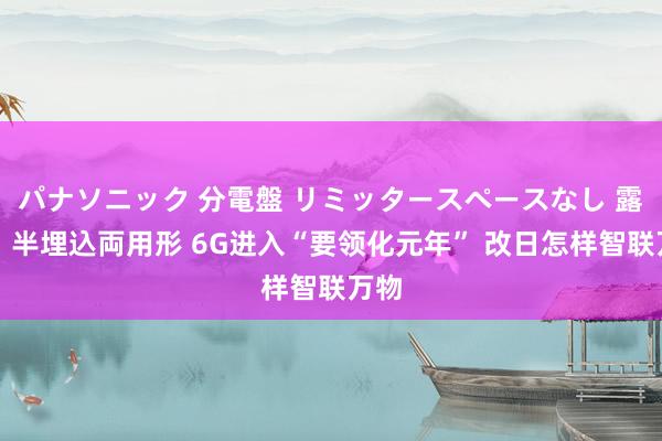 パナソニック 分電盤 リミッタースペースなし 露出・半埋込両用形 6G进入“要领化元年” 改日怎样智联万物