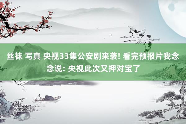丝袜 写真 央视33集公安剧来袭! 看完预报片我念念说: 央视此次又押对宝了